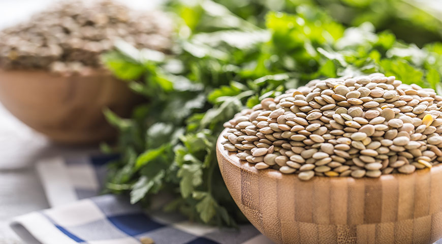 Lentil 2