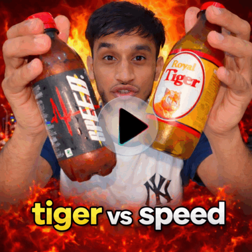 tiger tiktor review
